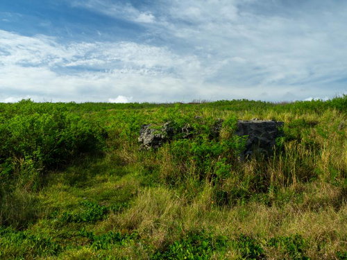 硫黄島南海岸に残る緑に覆われた戦時中のトーチカ跡