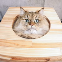 「それ本気で言ってるのか？」の写真