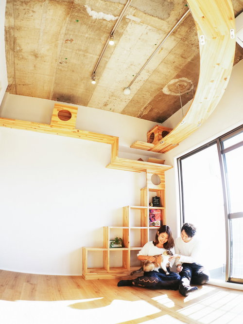 恋人と猫との暮らし、木製シェルフのある部屋