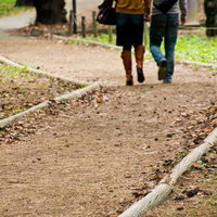 落ち葉の小道を歩くカップルの後ろ姿の秋道散歩の写真