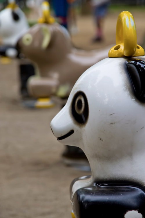 低い角度で撮影した白いパンダの遊具