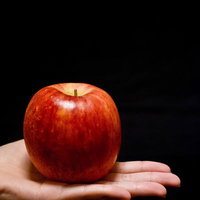 黒い背景の中で手のひらに載せた赤いりんごの写真