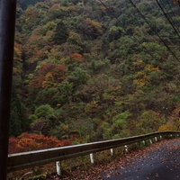 紅葉がはじまる山中の舗装道路を彩る秋景色の写真