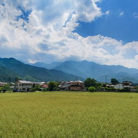 田んぼと民家が広がる田舎の風景の写真