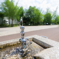 公園の水飲み場から流れる水の写真