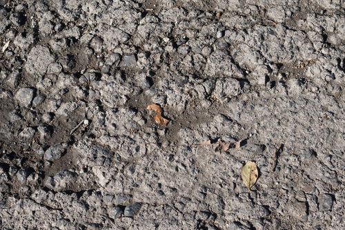 乾いてひび割れたばかりの土