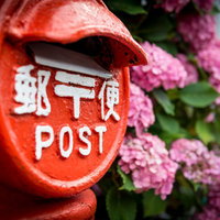郵便ポストと咲く紫の紫陽花、梅雨時期の季節風景の写真