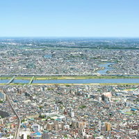 スカイツリー展望台から見下ろす都心のビル群の一望風景の写真