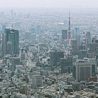 オフィスビル群と赤い鉄骨の東京タワーが並ぶ都市風景の写真