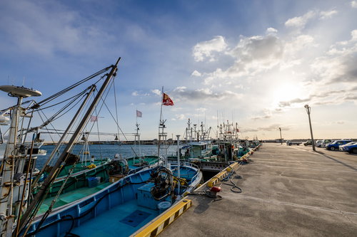 朝方の請戸漁港に停泊する漁船群と澄んだ海の風景