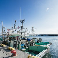 朝日が照らす福島県請戸漁港に停泊する漁船と港湾風景の写真
