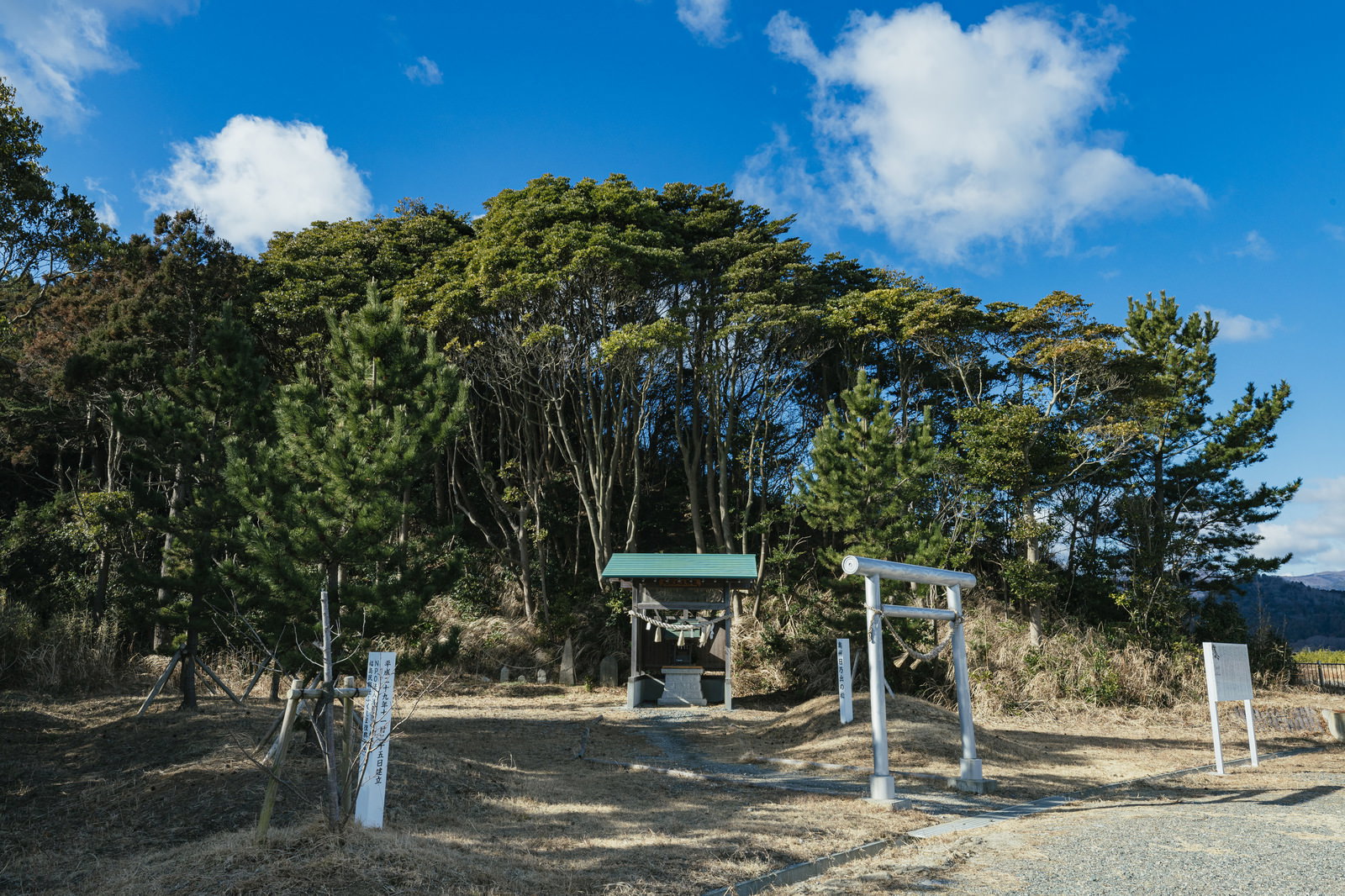 緑の松林に囲まれた参道に立つ白い鳥居。背景に青空。