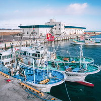 白と青に塗られた漁船が停泊する福島県請戸漁港の風景の写真