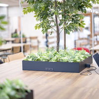観葉植物とパソコンが置かれたコワーキングスペースのデスクの写真
