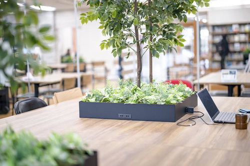 観葉植物とパソコンが置かれたコワーキングスペースのデスク