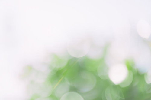 ぼやけた木漏れ日と新緑