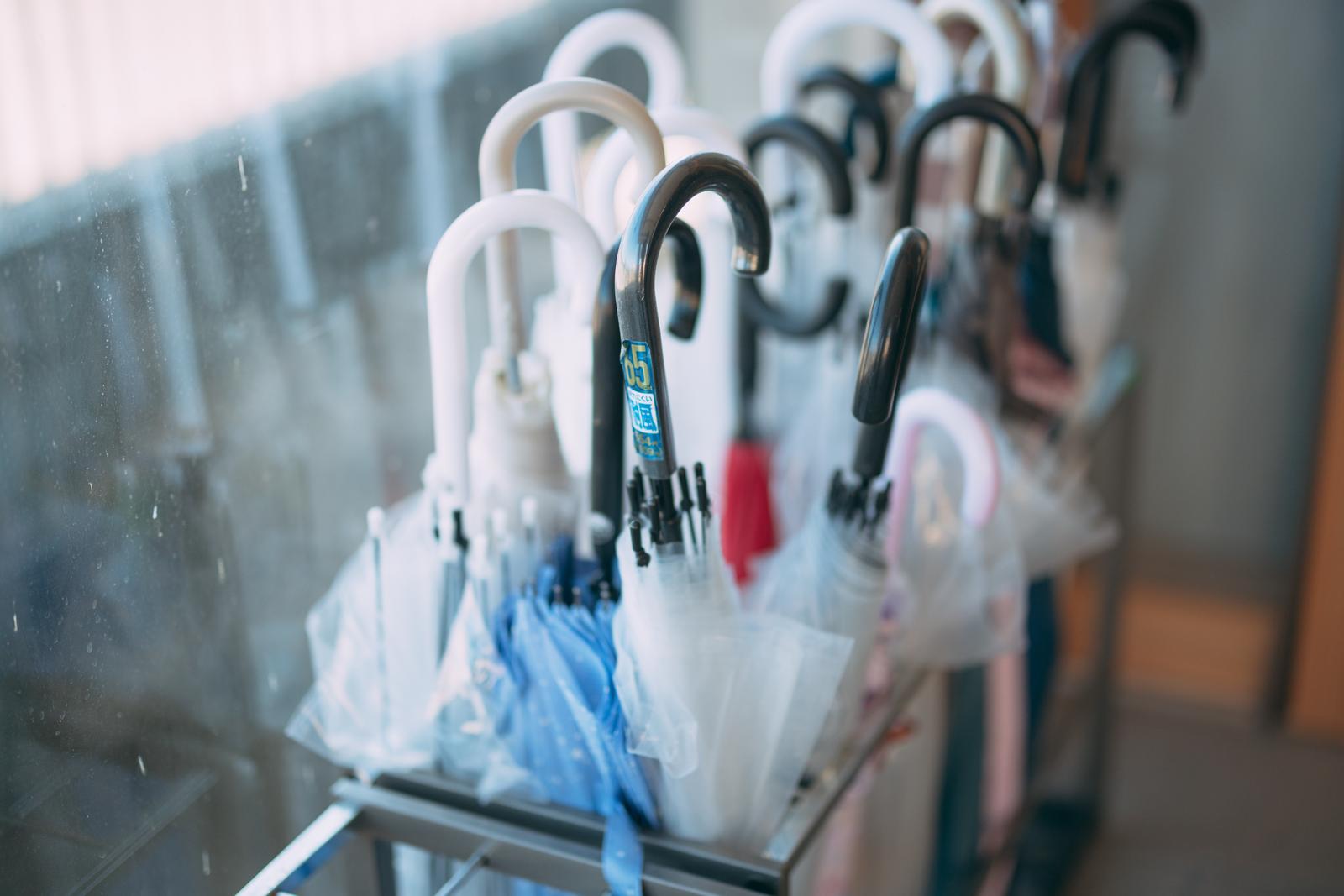 雨の日に傘置きに並べられた白や黒のビニール傘