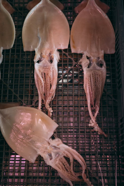 魚市場の網上で天日干しされるイカとゲソ、水産加工食材