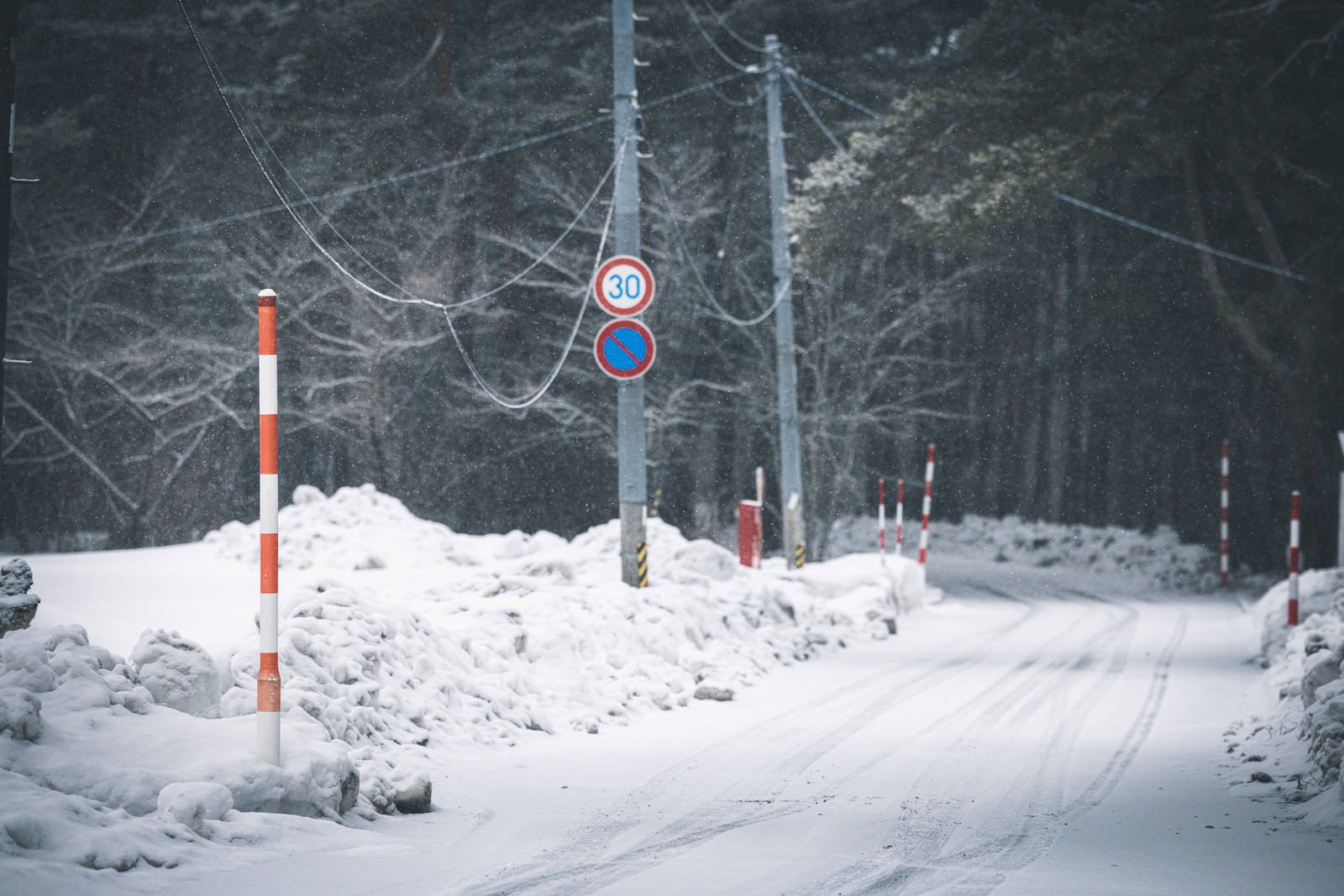 雪が積もった路肩に立つ赤白のスノーボールと速度制限標識