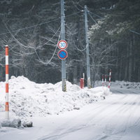 雪国の路肩に立つスノーボールと速度制限標識の写真