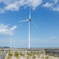 南相馬の海岸通りにある巨大な風力発電機と防風林の写真