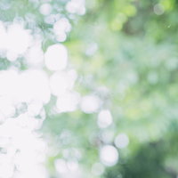 天神岬公園の森で木漏れ日を浴びながら森林浴の写真