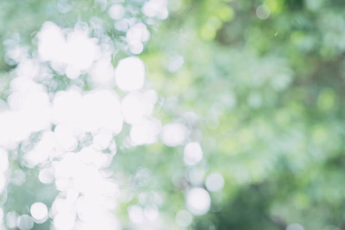 天神岬公園の森で木漏れ日を浴びながら森林浴