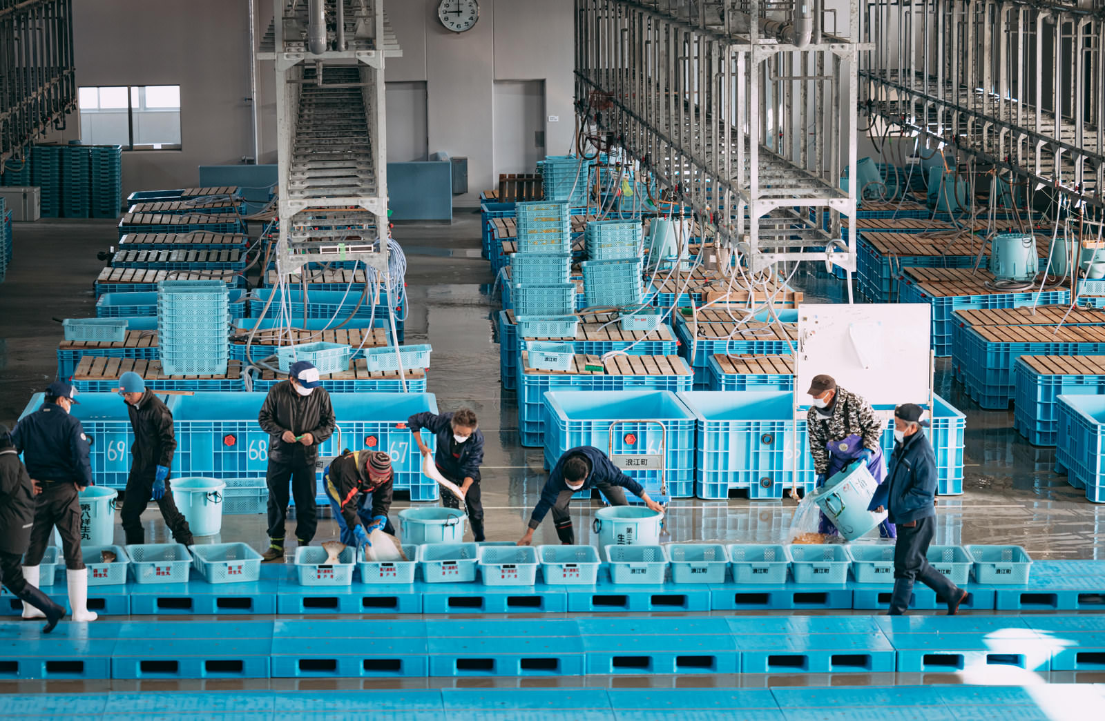 青いターレットと魚箱が積まれた漁港の市場で、複数の作業員が競りを行っている風景