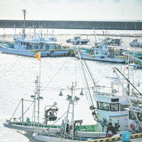 福島県浪江町の請戸漁港に停泊する複数の漁船の写真