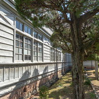 旧遷喬尋常小学校の校舎に沿う老木の植え込みの写真