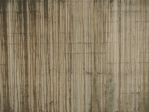 壁一面に広がる雨垂れと筋汚れ、長年の風化による劣化