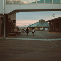 夕暮れの下校路を歩むふたば未来学園の女子高生の写真
