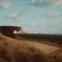 広野町の海岸に整備された防災緑地と消波ブロックの風景の写真