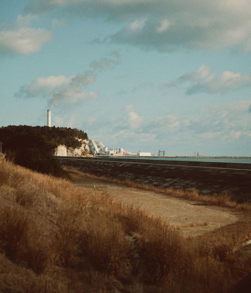 広野町の海岸に整備された防災緑地と消波ブロックの風景