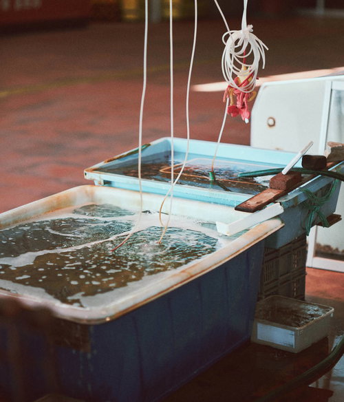小名浜漁港の魚市場で水槽に並ぶ鮮魚と作業風景