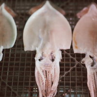 福島県いわき市小名浜港の魚市場に並ぶスルメの干物の写真