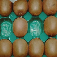 小高ストアで販売されているキウイフルーツを緑のパッケージに並べた商品の写真
