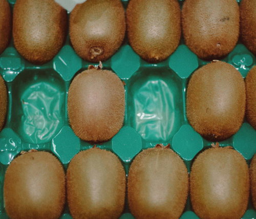 小高ストアで販売されているキウイフルーツを緑のパッケージに並べた商品