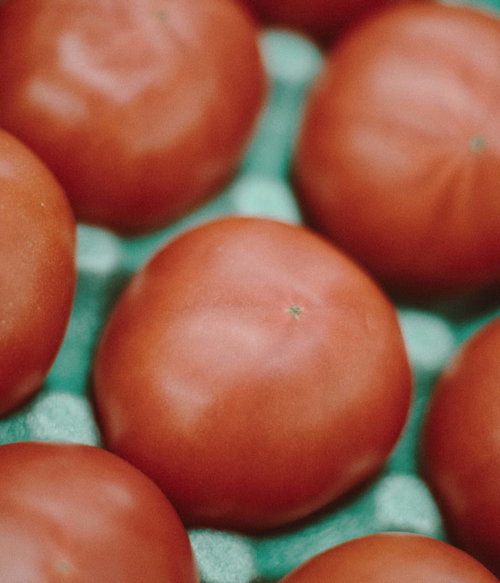 小高ストアで販売されていた新鮮なトマト｜南相馬市の地域農産物