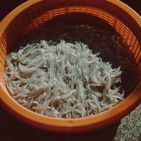 水揚げされたばかりのしらうおが詰まったオレンジ色のカゴの写真