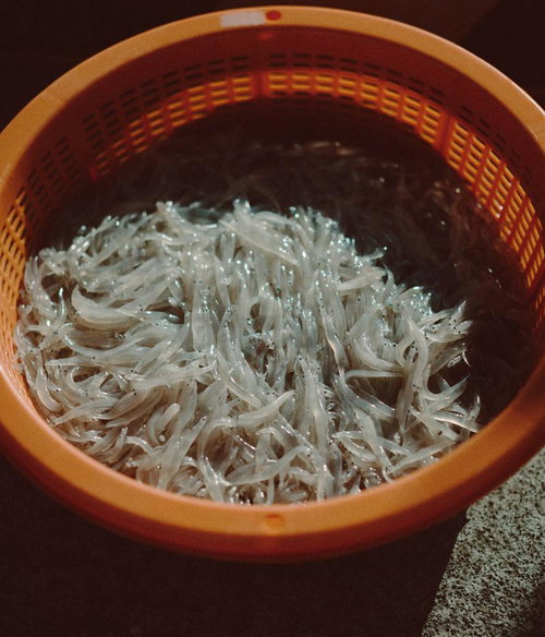 水揚げされたばかりのしらうおが詰まったオレンジ色のカゴ