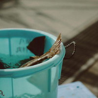 水揚げされたヒラメの尾ひれと漁港での作業の写真