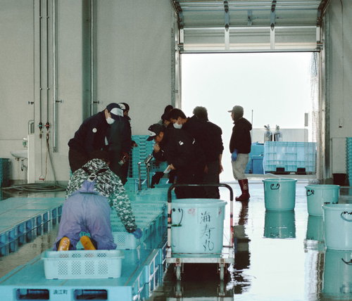 請戸漁港でせりをする漁師たちと青いプラ箱