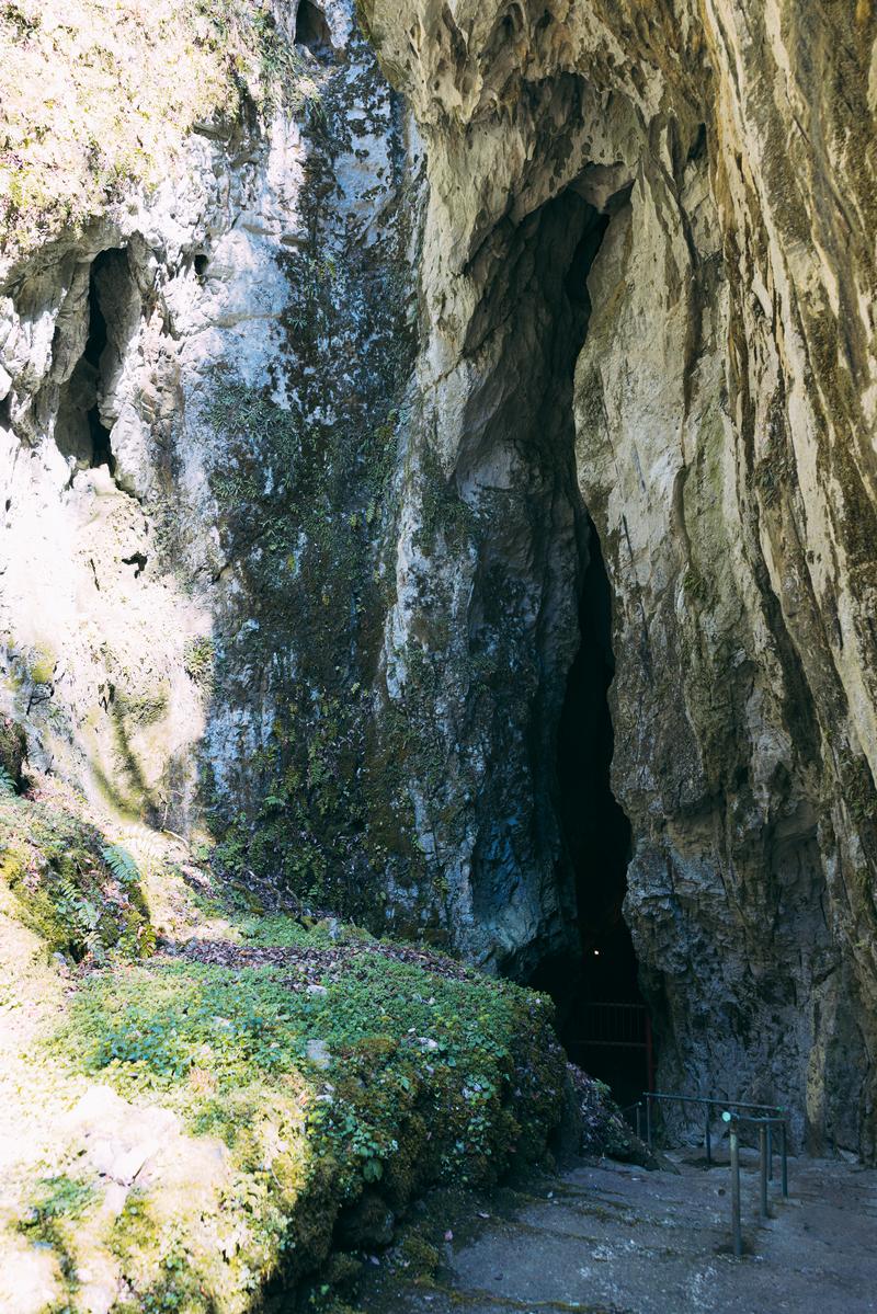 白い石灰岩の裂け目に開く備中鐘乳穴の洞口。苔が付着した岩肌と手すり付きの通路が見える