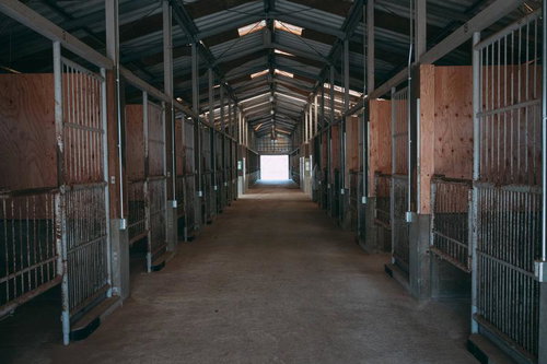 南相馬市馬事公苑の旧厩舎内部の通路と馬房