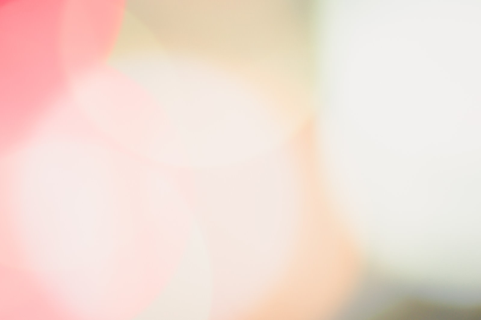 ピンクと黄色系の暖色でぼけたネオン光の抽象的な背景