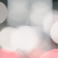 春の光をちりばめた白色の煌めきの写真