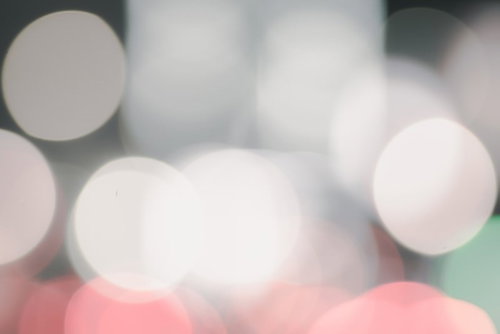 春の光をちりばめた白色の煌めき