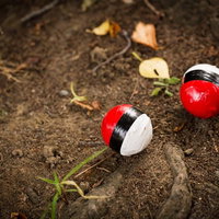 山奥に出現した紅白ボールの写真