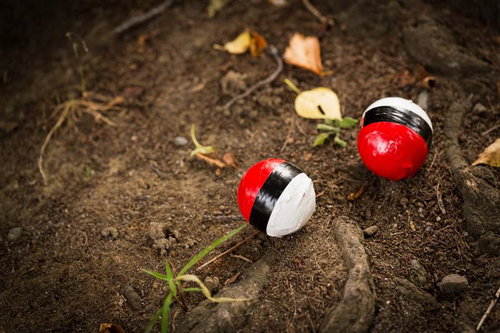 山奥に出現した紅白ボール